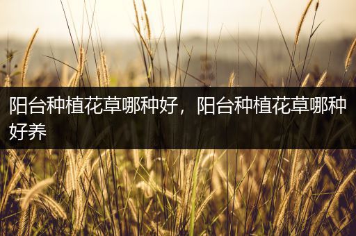 阳台种植花草哪种好，阳台种植花草哪种好养
