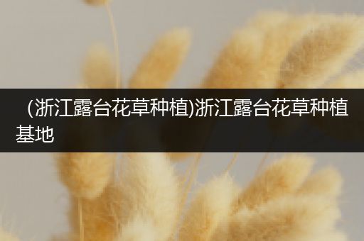 （浙江露台花草种植)浙江露台花草种植基地
