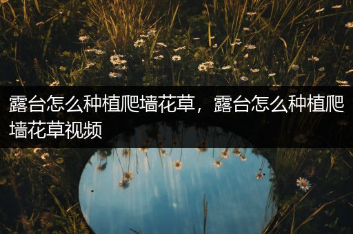 露台怎么种植爬墙花草，露台怎么种植爬墙花草视频