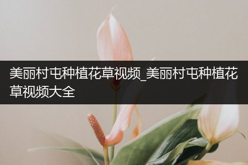 美丽村屯种植花草视频_美丽村屯种植花草视频大全