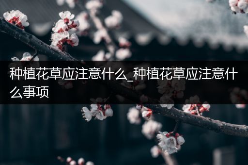 种植花草应注意什么_种植花草应注意什么事项