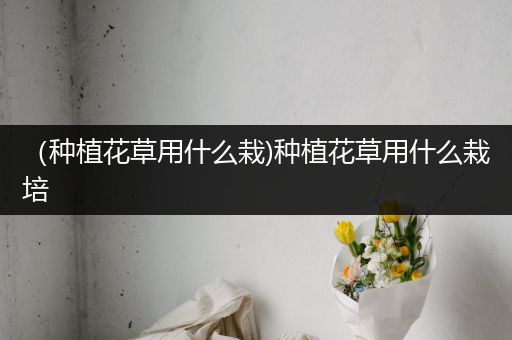 （种植花草用什么栽)种植花草用什么栽培