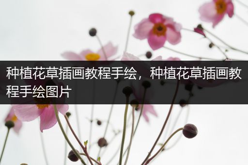 种植花草插画教程手绘，种植花草插画教程手绘图片