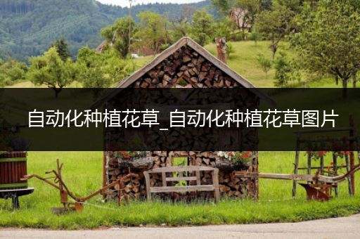自动化种植花草_自动化种植花草图片