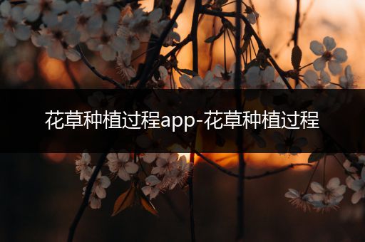 花草种植过程app-花草种植过程