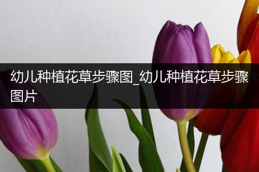 幼儿种植花草步骤图_幼儿种植花草步骤图片