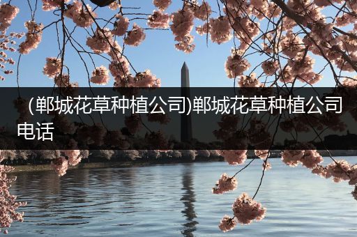 （郸城花草种植公司)郸城花草种植公司电话