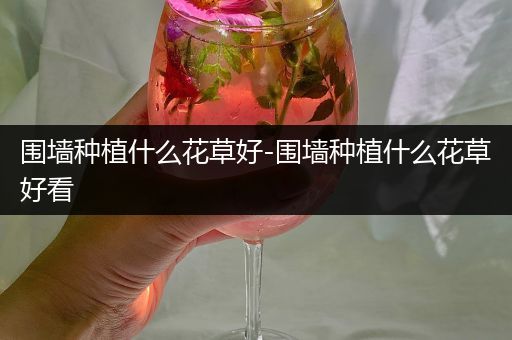 围墙种植什么花草好-围墙种植什么花草好看