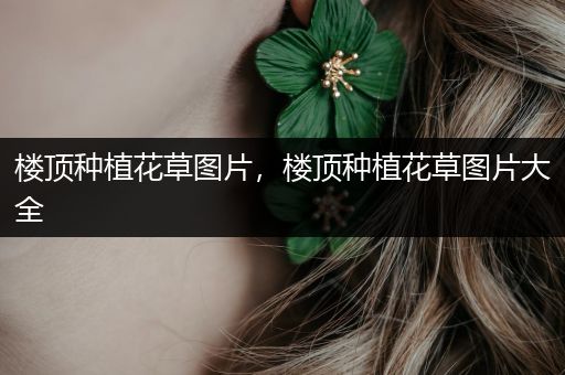 楼顶种植花草图片，楼顶种植花草图片大全
