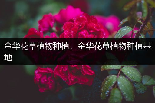 金华花草植物种植，金华花草植物种植基地