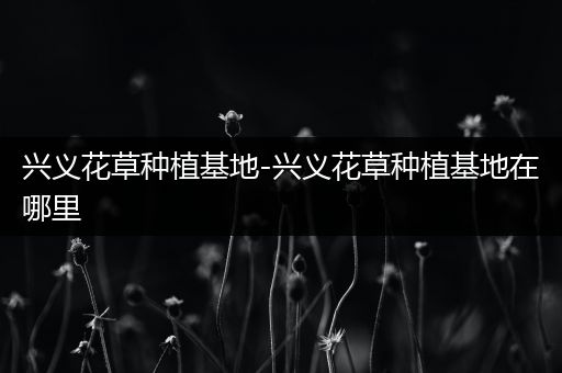 兴义花草种植基地-兴义花草种植基地在哪里