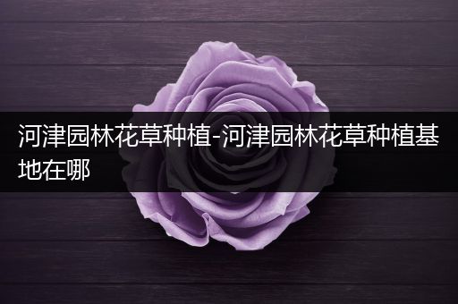 河津园林花草种植-河津园林花草种植基地在哪