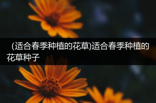 （适合春季种植的花草)适合春季种植的花草种子