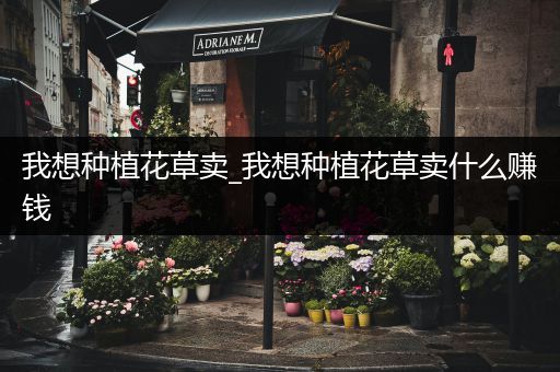 我想种植花草卖_我想种植花草卖什么赚钱