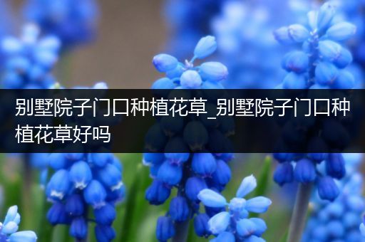 别墅院子门口种植花草_别墅院子门口种植花草好吗