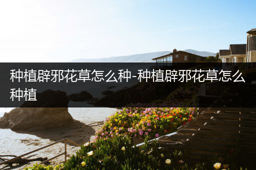 种植辟邪花草怎么种-种植辟邪花草怎么种植