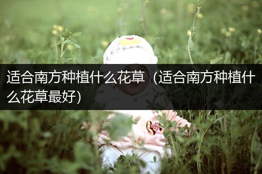 适合南方种植什么花草（适合南方种植什么花草最好）