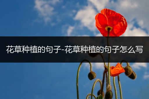 花草种植的句子-花草种植的句子怎么写