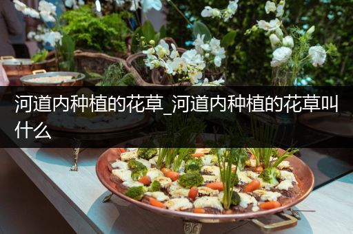 河道内种植的花草_河道内种植的花草叫什么