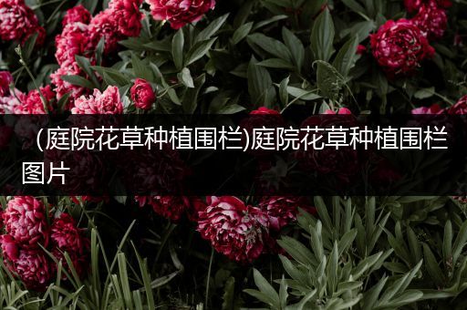 （庭院花草种植围栏)庭院花草种植围栏图片