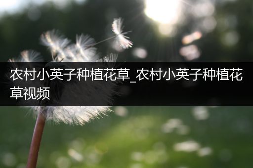 农村小英子种植花草_农村小英子种植花草视频