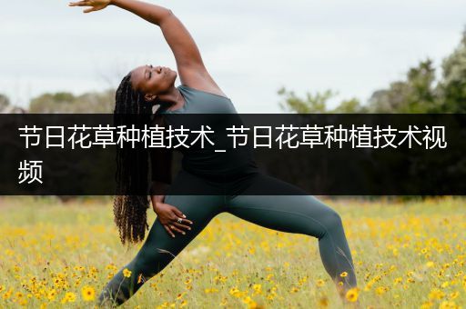 节日花草种植技术_节日花草种植技术视频