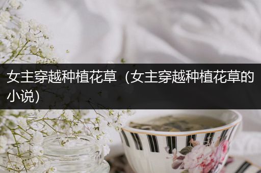女主穿越种植花草（女主穿越种植花草的小说）