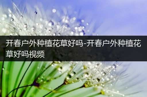 开春户外种植花草好吗-开春户外种植花草好吗视频