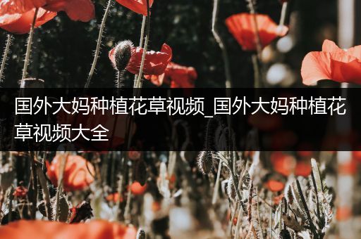 国外大妈种植花草视频_国外大妈种植花草视频大全