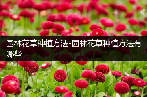 园林花草种植方法-园林花草种植方法有哪些