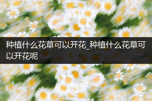 种植什么花草可以开花_种植什么花草可以开花呢
