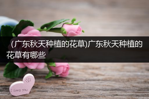 （广东秋天种植的花草)广东秋天种植的花草有哪些