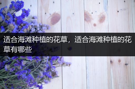 适合海滩种植的花草，适合海滩种植的花草有哪些