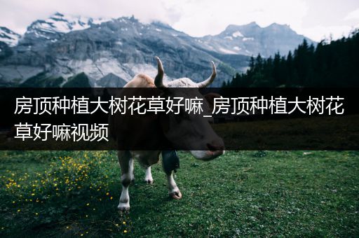 房顶种植大树花草好嘛_房顶种植大树花草好嘛视频