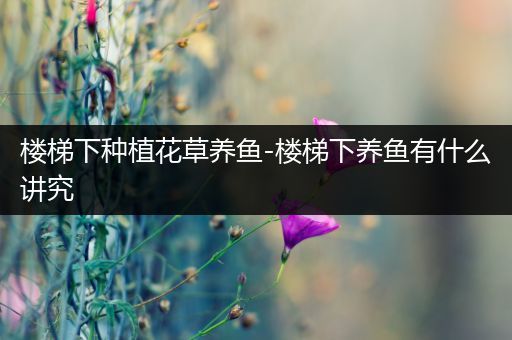 楼梯下种植花草养鱼-楼梯下养鱼有什么讲究