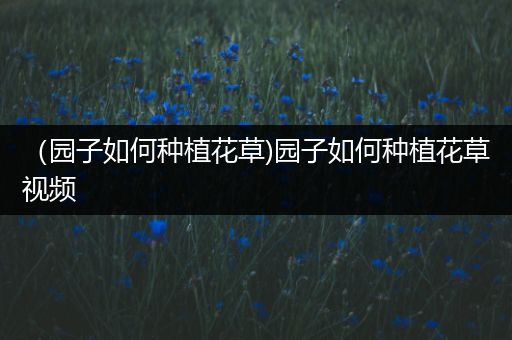 （园子如何种植花草)园子如何种植花草视频