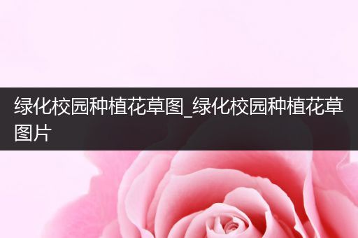 绿化校园种植花草图_绿化校园种植花草图片