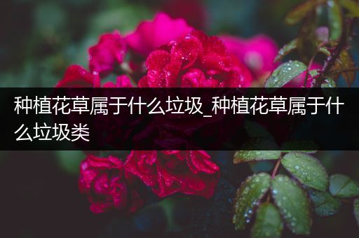 种植花草属于什么垃圾_种植花草属于什么垃圾类