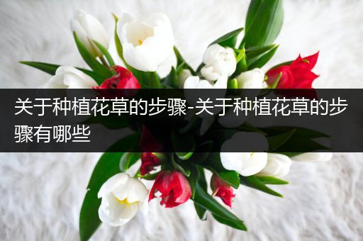 关于种植花草的步骤-关于种植花草的步骤有哪些