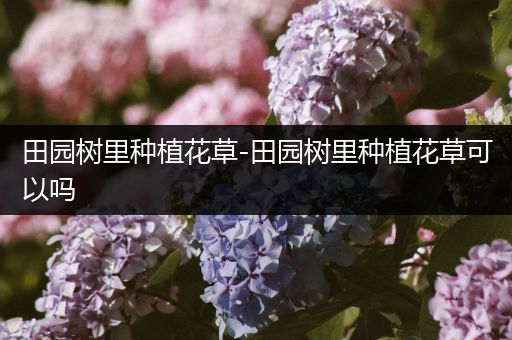 田园树里种植花草-田园树里种植花草可以吗