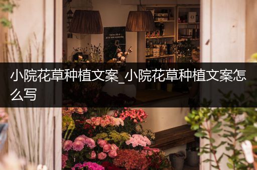 小院花草种植文案_小院花草种植文案怎么写