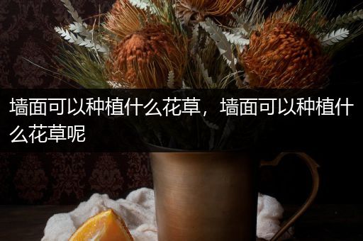 墙面可以种植什么花草，墙面可以种植什么花草呢