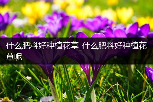 什么肥料好种植花草_什么肥料好种植花草呢