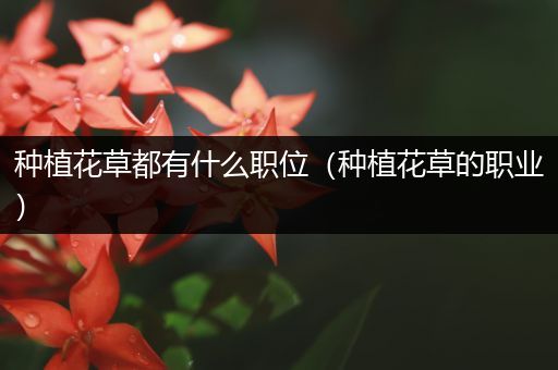 种植花草都有什么职位（种植花草的职业）