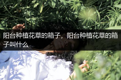 阳台种植花草的箱子，阳台种植花草的箱子叫什么