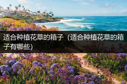 适合种植花草的箱子（适合种植花草的箱子有哪些）