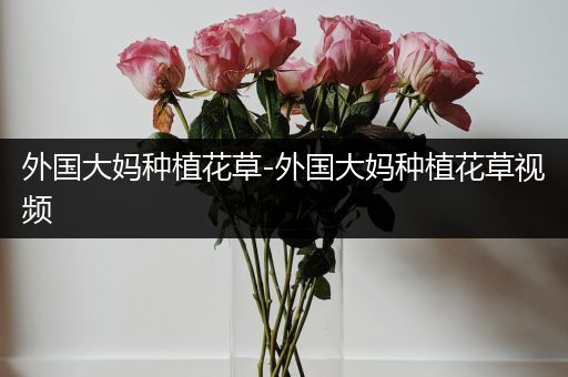 外国大妈种植花草-外国大妈种植花草视频