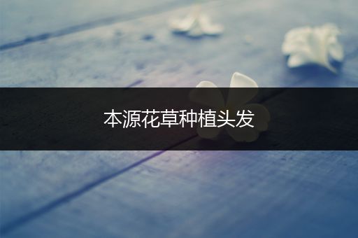 本源花草种植头发