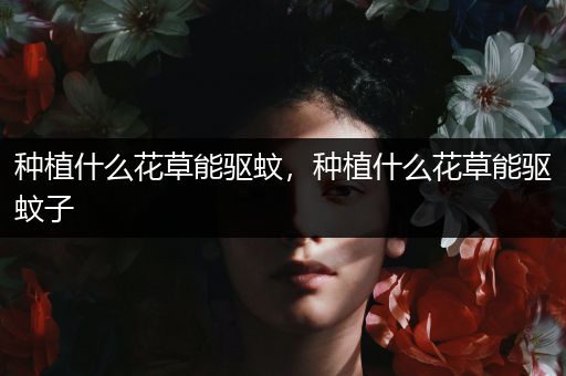 种植什么花草能驱蚊，种植什么花草能驱蚊子