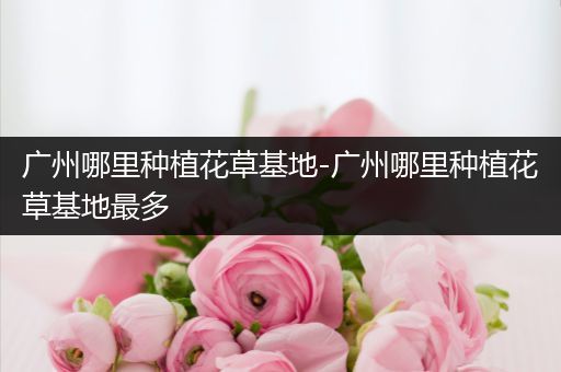 广州哪里种植花草基地-广州哪里种植花草基地最多